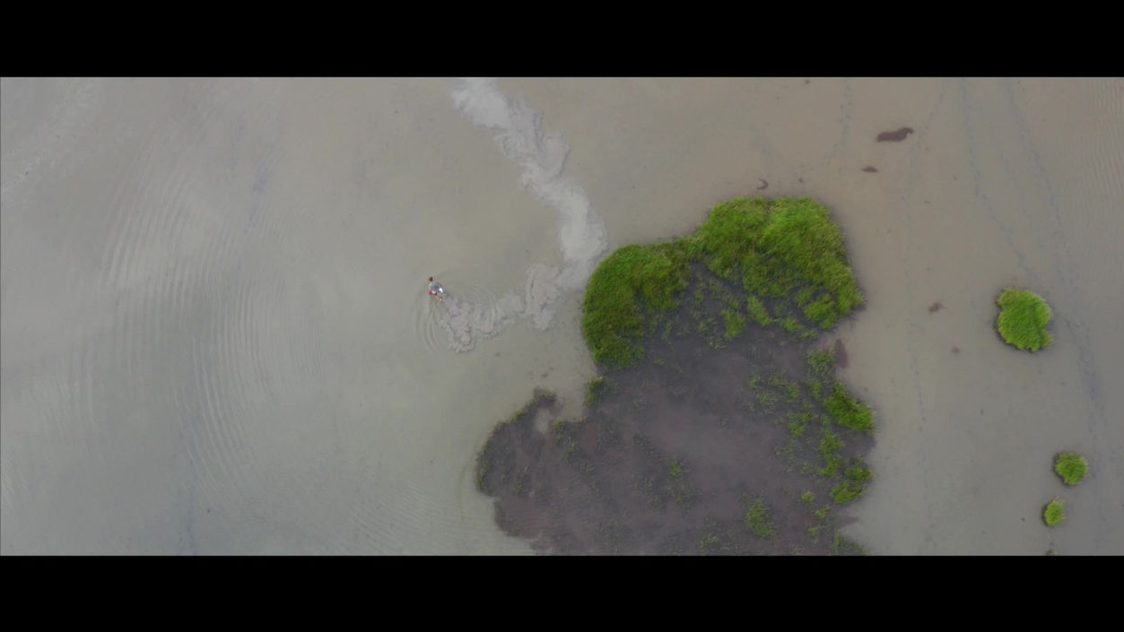 Nature and Us Trailer